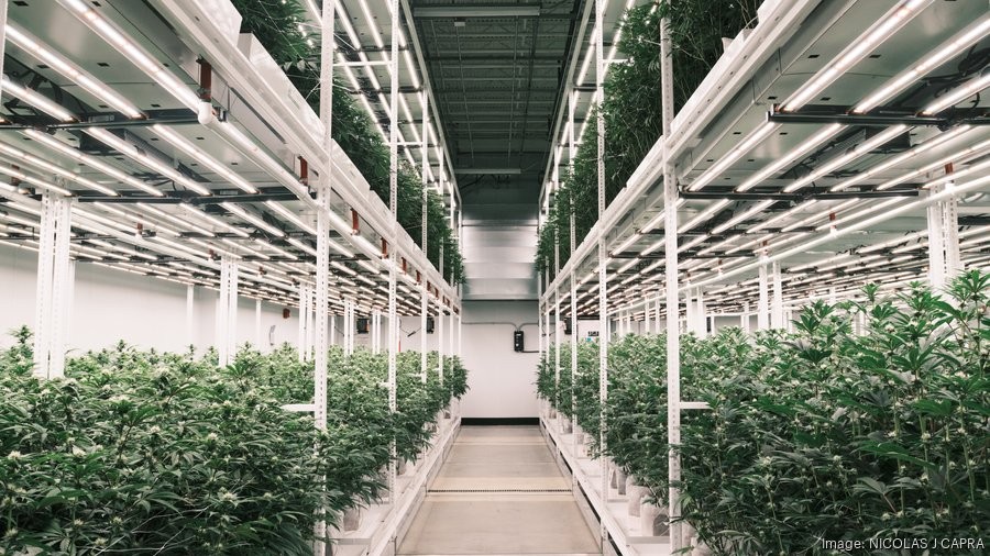 Jushi Production Facility
